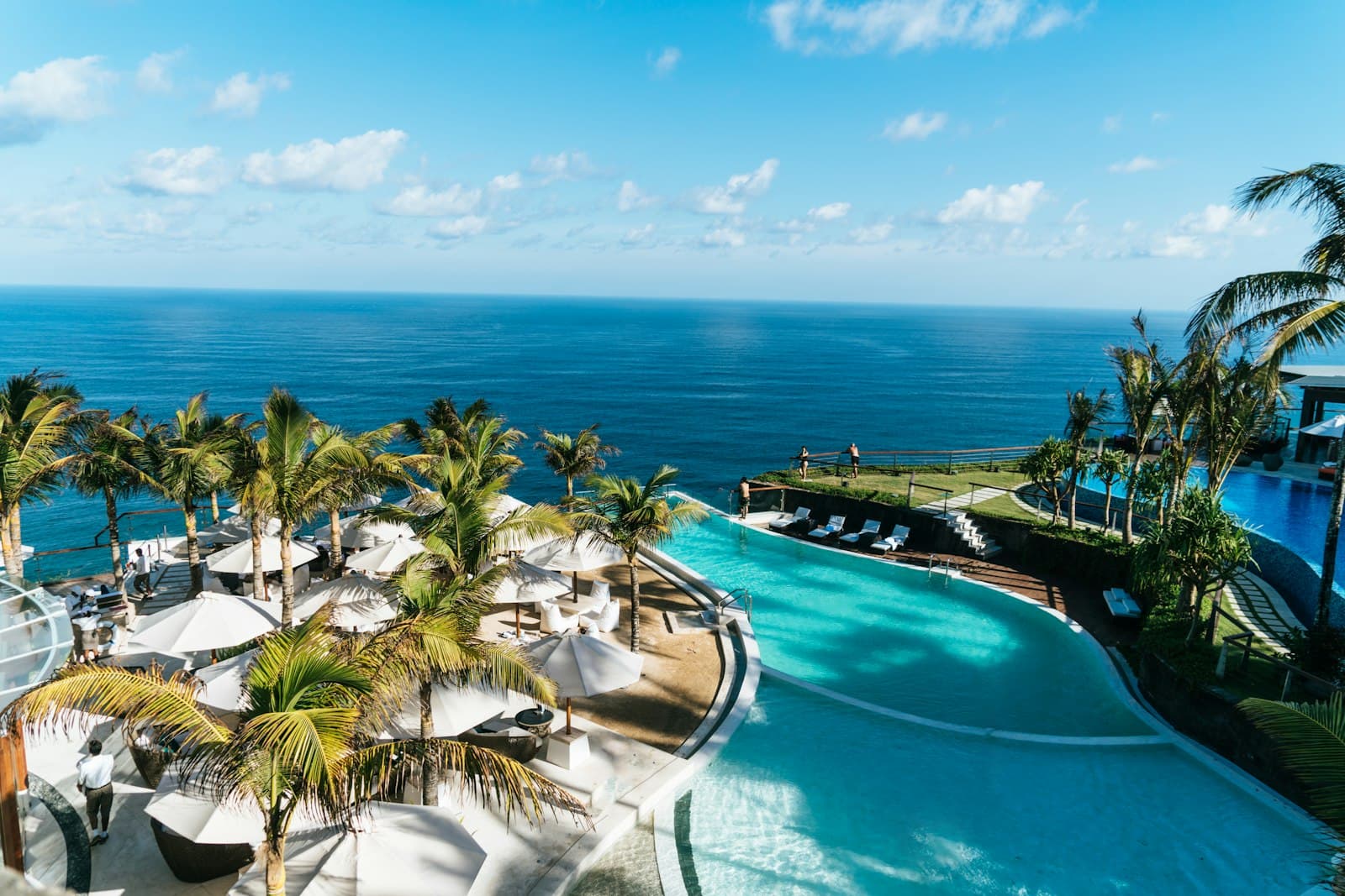 Resort infinity pool lined with palms overlooking the ocean